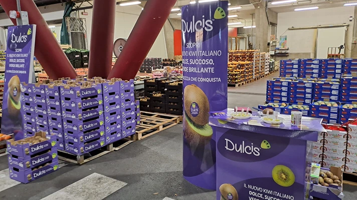 Kiwi Dulcis promosso alla prova del banco