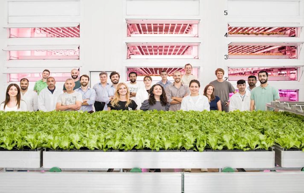 Carrefour a lezione di vertical farm