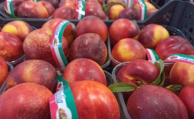 Dai mercati: pomodori a 60 cent, consumi in calo