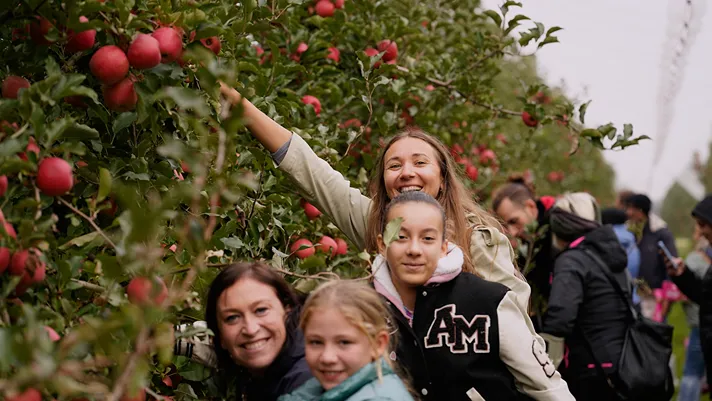 Successo per Adotta un Albero di Pink Lady