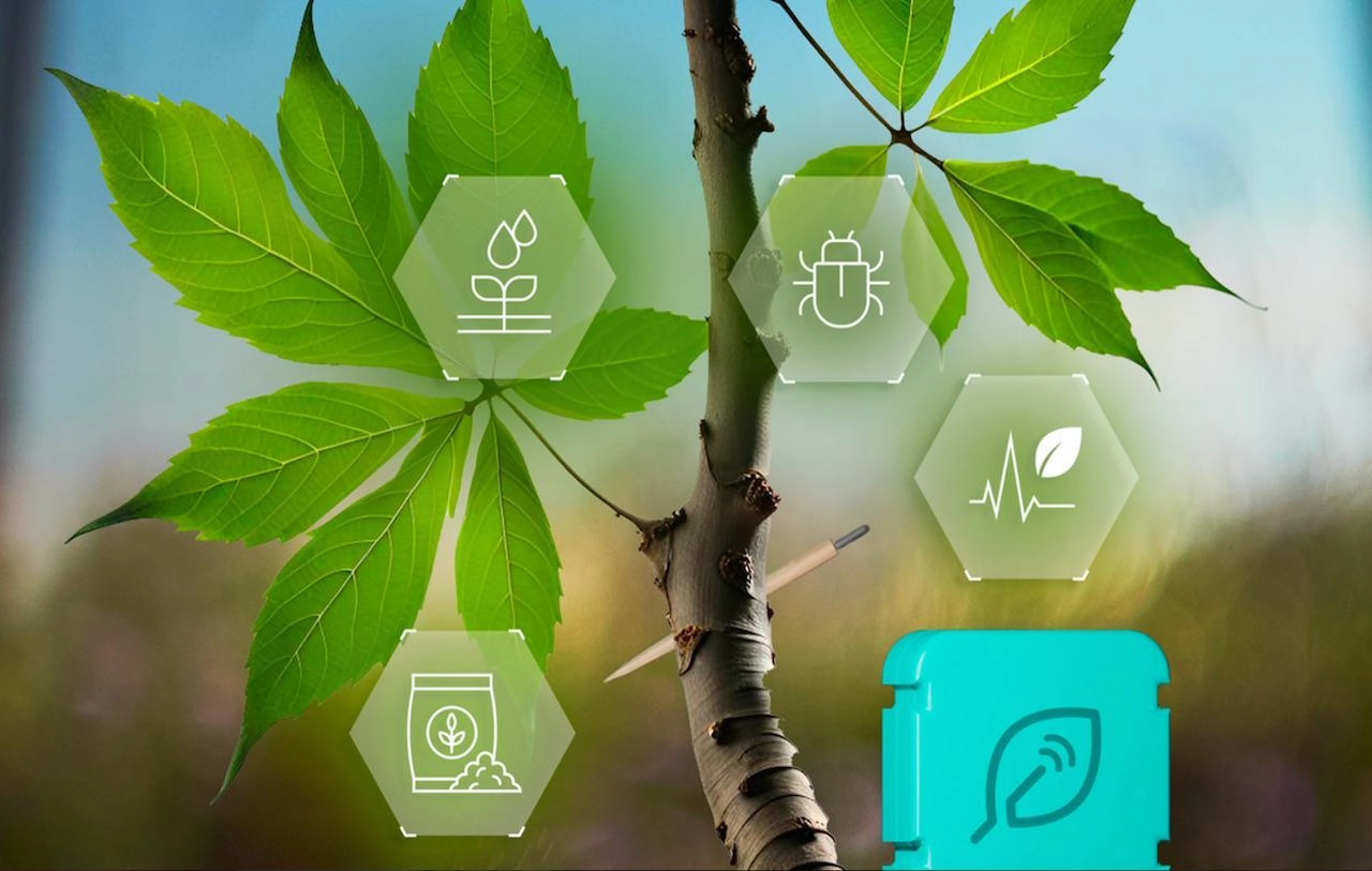 Plantvoice, i sensori che fanno parlare gli alberi da frutto