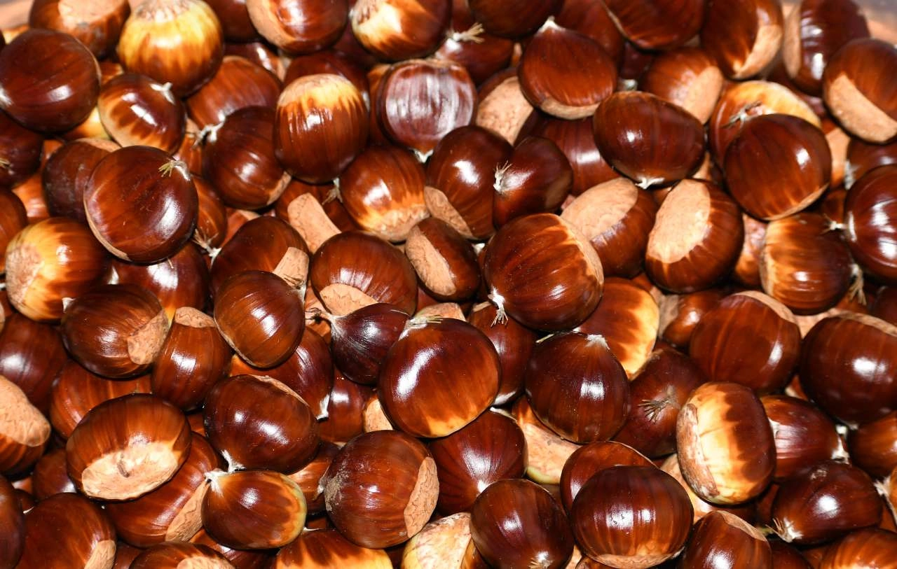 Castagne, in Campania volumi in calo ma ottima qualità