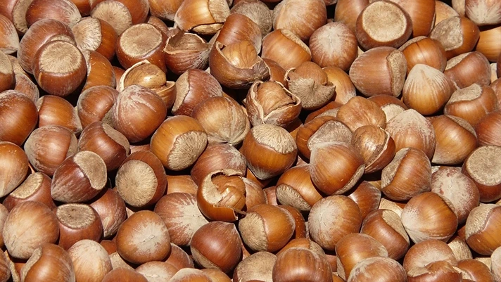 Nocciole, prezzo dell'export in risalita