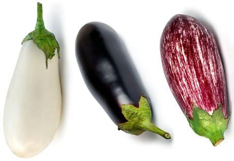 melanzane_forme_colori