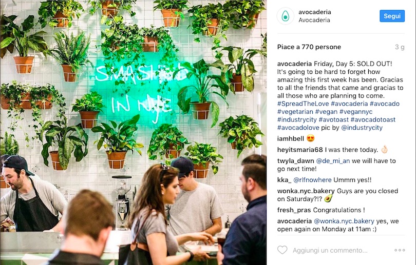 Avocaderia_Instagram