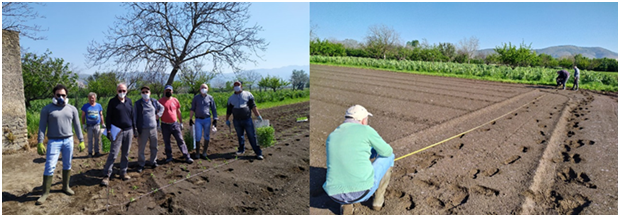 Allestimento campo sperimentale OP APOPA – Campania (24/4/2020)