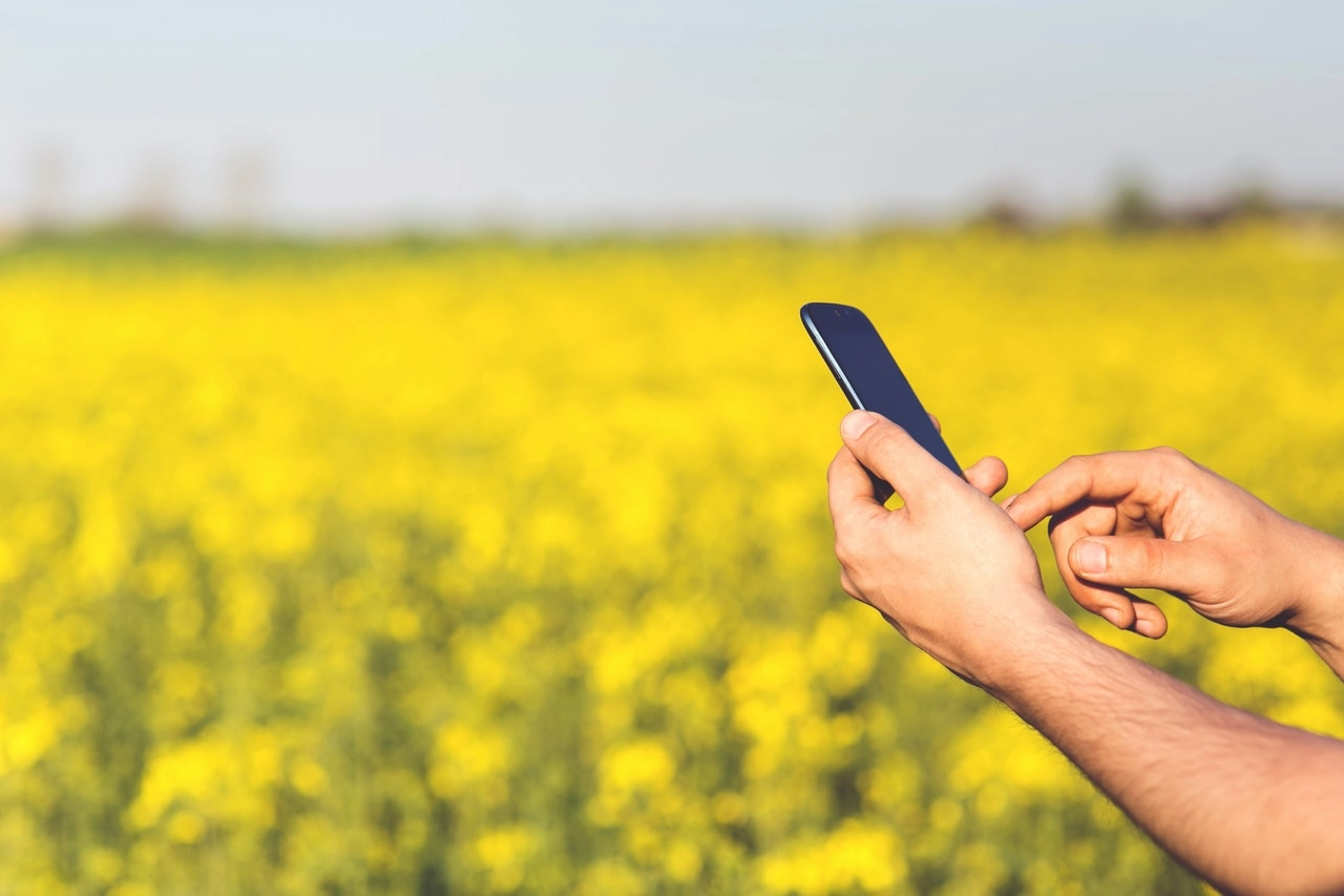 Fondo innovazione Ismea: 100 milioni per le Pmi agricole