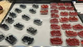 Berries, a Torino scaffali forniti e molte origini