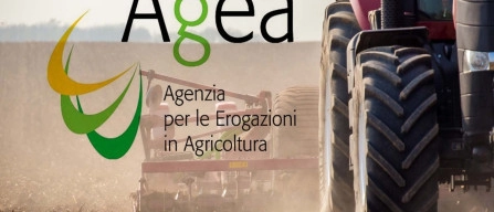 Assicurazioni agevolate, ulteriori pagamenti per 46 milioni-image