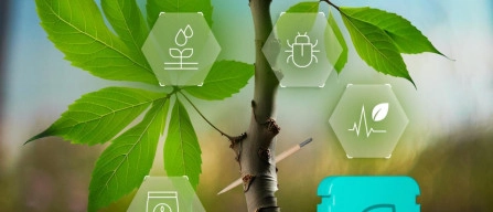 Plantvoice, i sensori che fanno parlare gli alberi da frutto-image