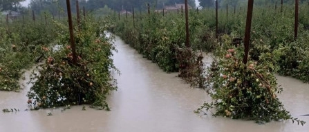 Panico in Emilia-Romagna: esondazioni, frane e sfollati-image