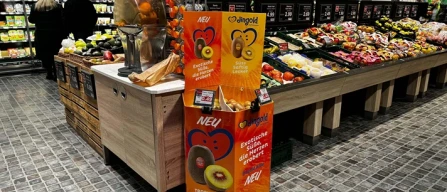 Kiwi, Exotic Red di Jingold conquista i consumatori europei-image