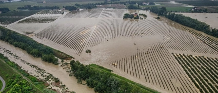 Post alluvione: agricoltura in mano ai fondi d'investimento?-image