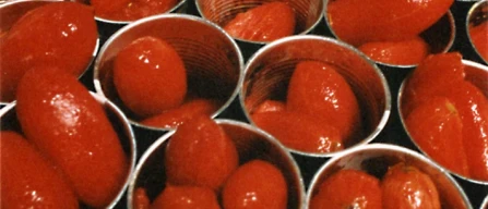 Il pomodoro da industria chiude a 5,3 milioni di tonnellate-image